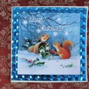 Robin and Squirrel card - flat