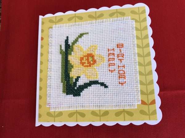 Daffodil birthday card lying flat