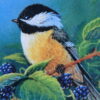 closeup of bird on blackberry cushion cover