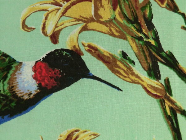 closeup of hummingbird