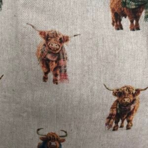 Closeup of mini cows