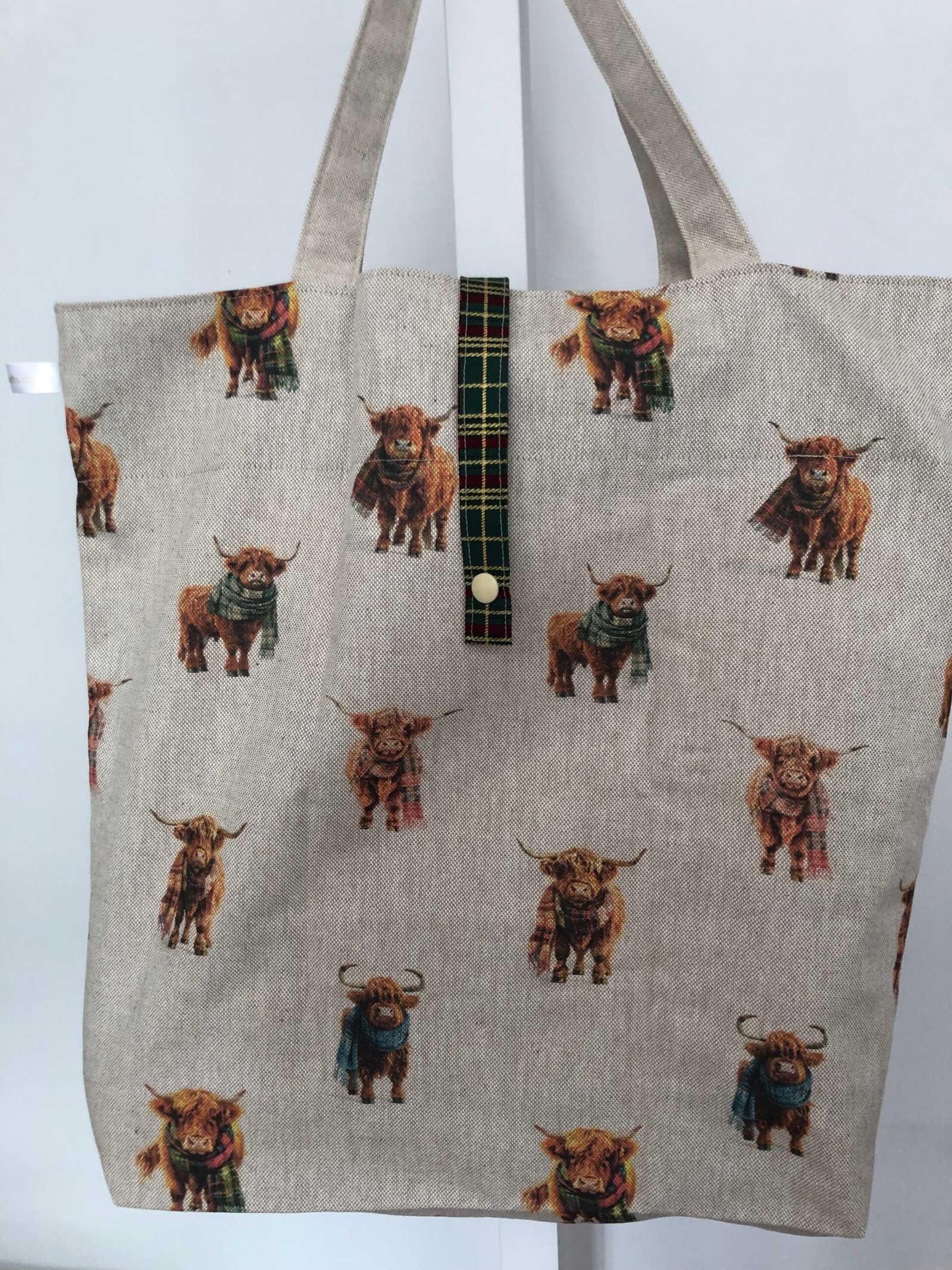 Back of folding bag